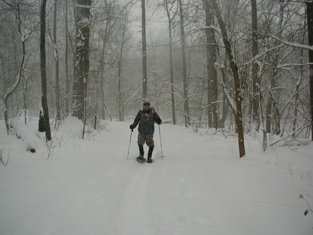 Snowshoeing Herrington Manor SP trails