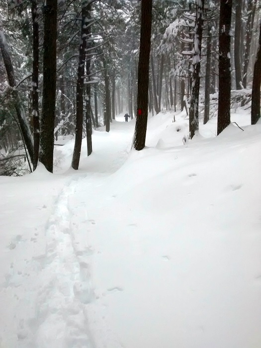 Breaking the Cabin Loop on snow shoes