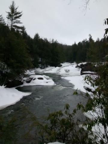 At Swallow Falls on Tuesday (Yoghigheny River)