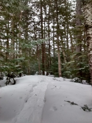 Snow shoe trail at Sugar Loaf Outdoor Center