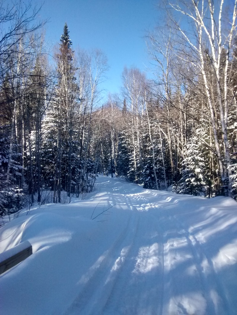 Plenty of snow on the trail