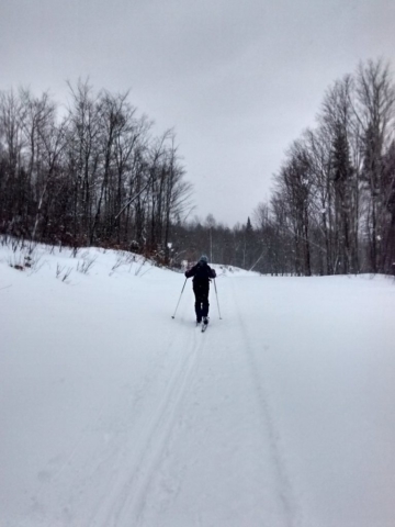 Skiing along the trail