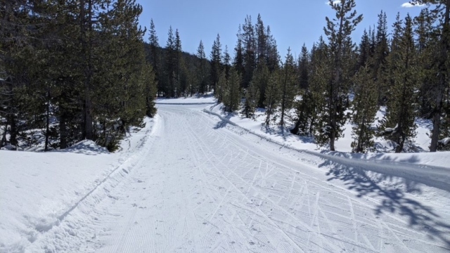 Groomed trails at Mt Bachelor Nordic area