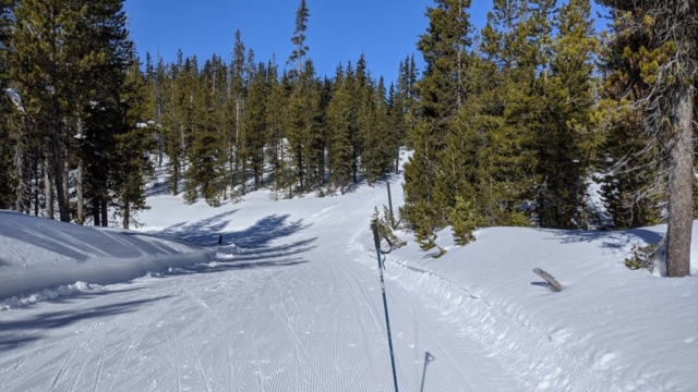 Groomed trails at Mt Bachelor Nordic area