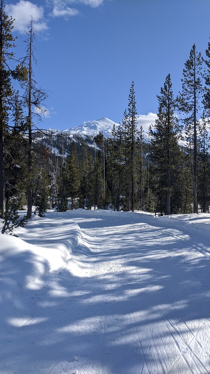 Groomed trails at Mt. Bachelor Nordic Area