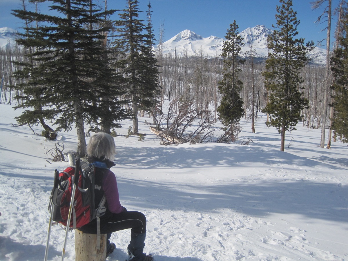 Ann gazing at South and Middle Sister, from Jeff's Shelter on the Three Creeks trail photo by Al Larsen
