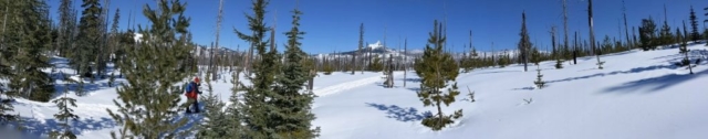 Panorama of the trails at Ray Benson  (John)