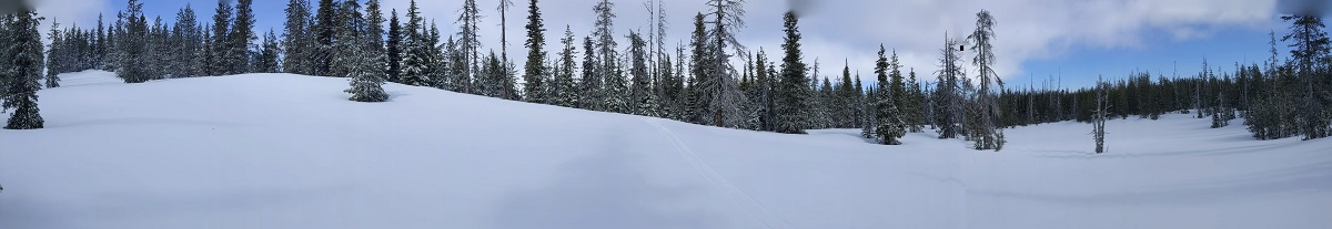 Panorama of the snow at Ray Benson Sno Park