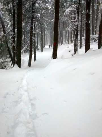 Breaking the Cabin Loop on snow shoes at New Germany SP, MD 2016