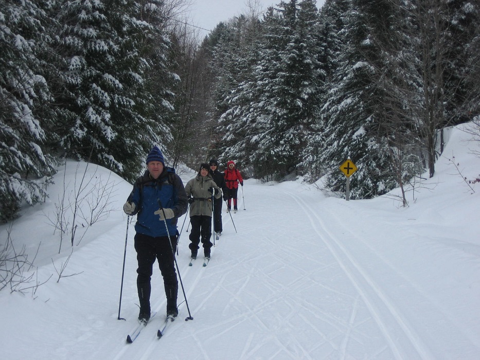 Easy track skiing on well-groomed trails