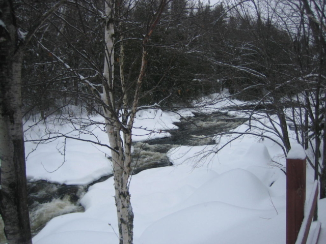 A rushing brook near the trail