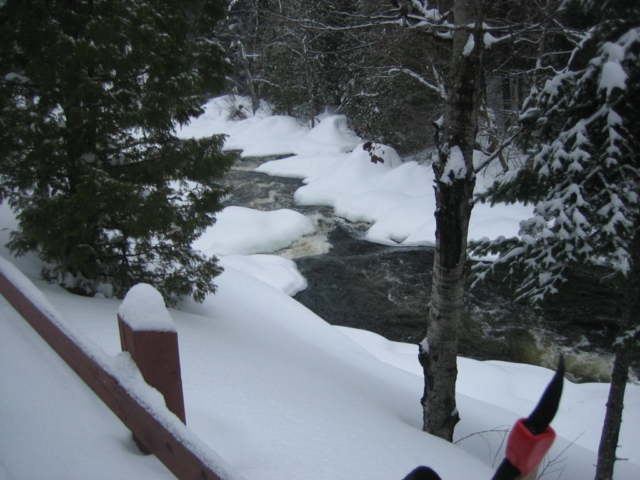 A rushing brook near the trail