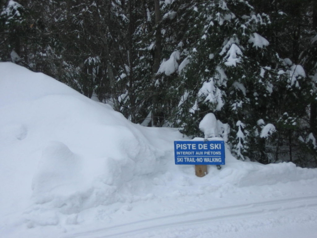 Please don't piste de ski!