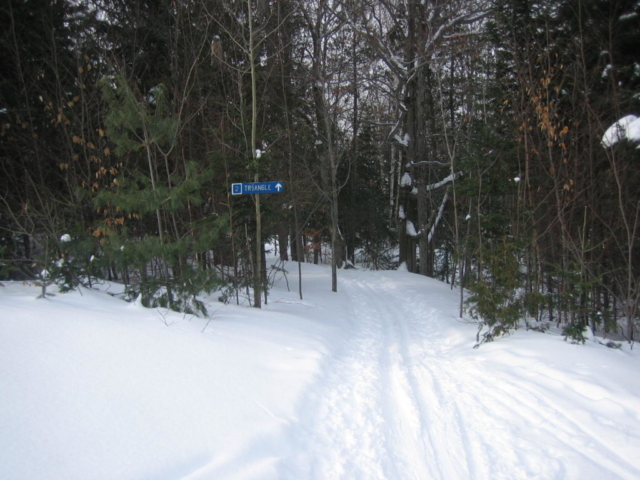 Another trail head