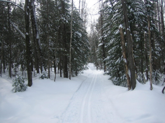 More ski trails