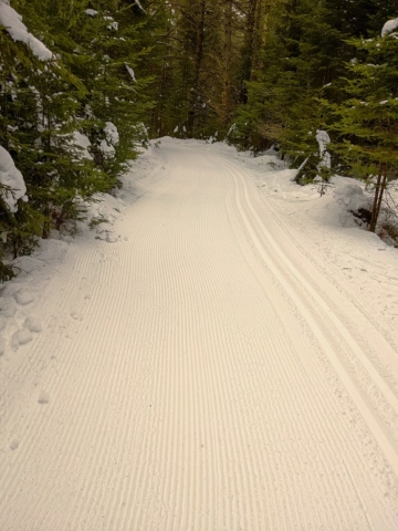 Freshly groomed trails every morning, for skate and classic skiing