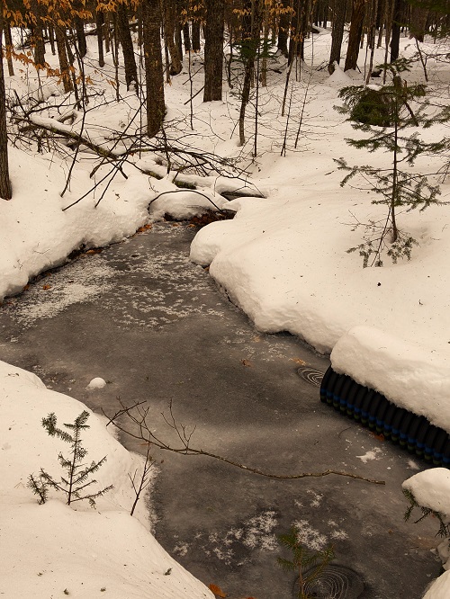 Frozen creek along Era Polku trail