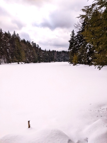 Goose Pond on the Dexter Lake Trail, Ferris Lake Wild Forest