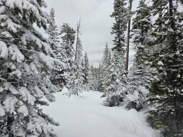 Snowshoe Trail at Meissner Sno-Park, Bend, OR
