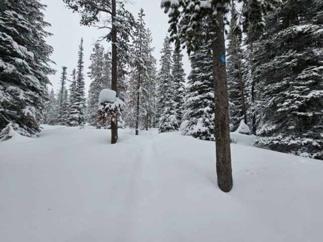 Trail to Meissner Sno-Park, Bend, OR