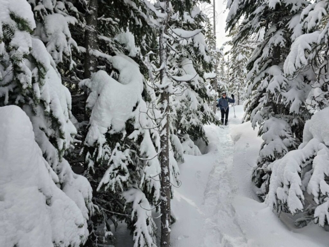 Barry on snowshoe trail at Meissner Sno-Park, Bend, OR