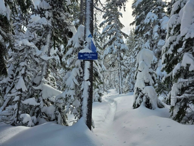 Summit Bypass Trail between Swampy and Meissner Sno-Park