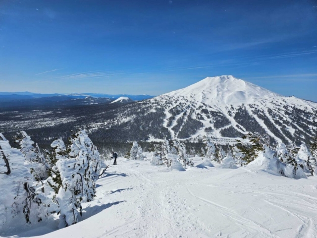 View of Mt Bachelor at Tumalo Mountain, Bend, OR