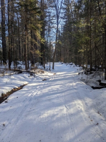 Ski Trails at Lapland Lakes Nordic Center, Benson, NY