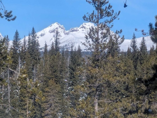 View at Swampy Sno-Park, Bend, OR