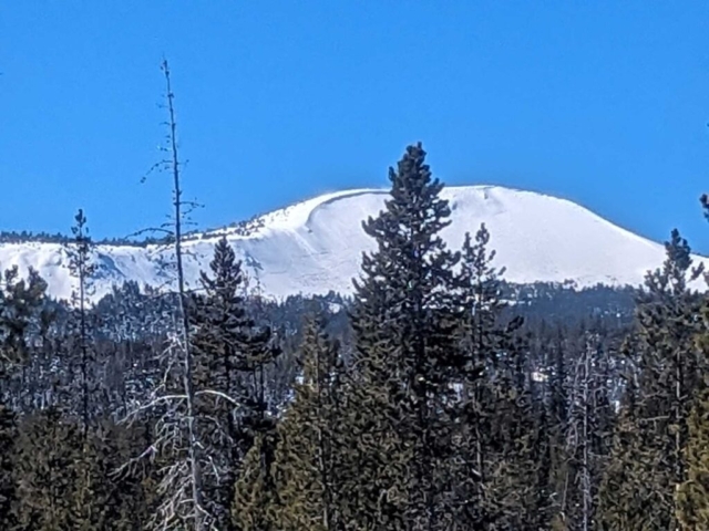 Tumalo Mountain from Swampy Sno-Park, Bend, OR