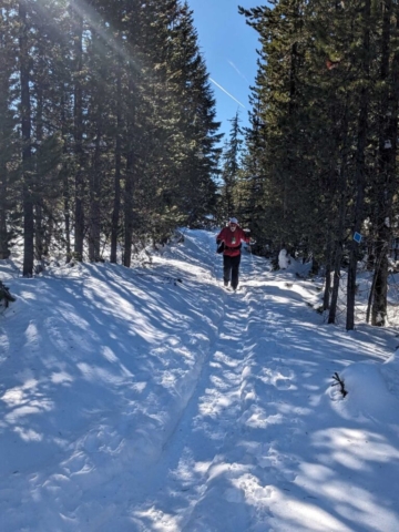 Bela on the trail at Ray Benson Sno-Park, Santiam Pass, OR