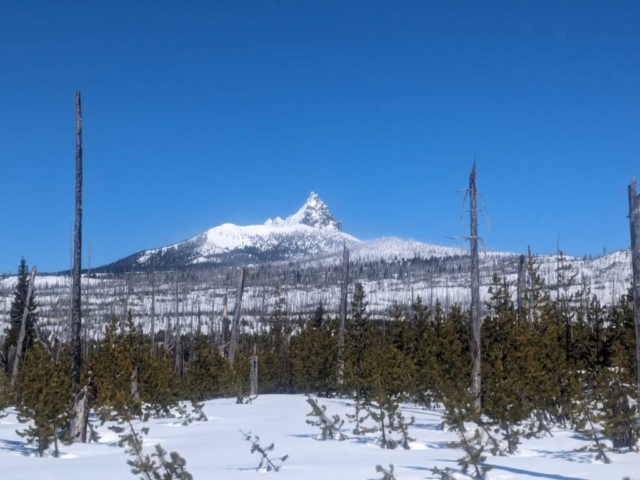 Three Fingered Jack from Ray Benson Sno-Park, Santiam Pass, OR