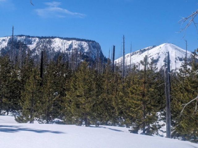 Hayrick Butte and HooDoo Butte from Ray Benson Sno-Park, Santiam Pass, OR