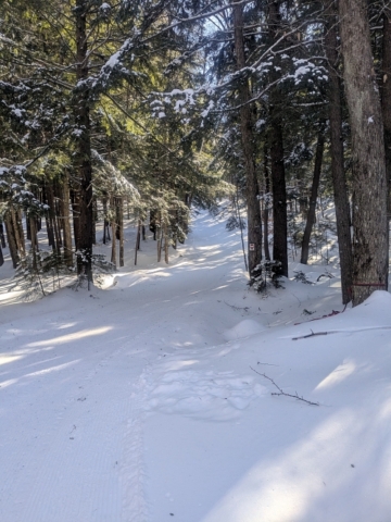 Groomed trails at Lapland Lake