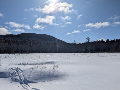 Beaver meadow on the spur trail from Lapland Lake