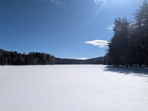 This is an area where three creeks come together and flow into Woods Lake